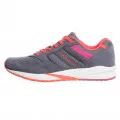 Champion MOXE 