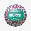 Molten VOLEYBALL 