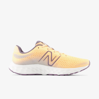 New Balance Tenisice 520 