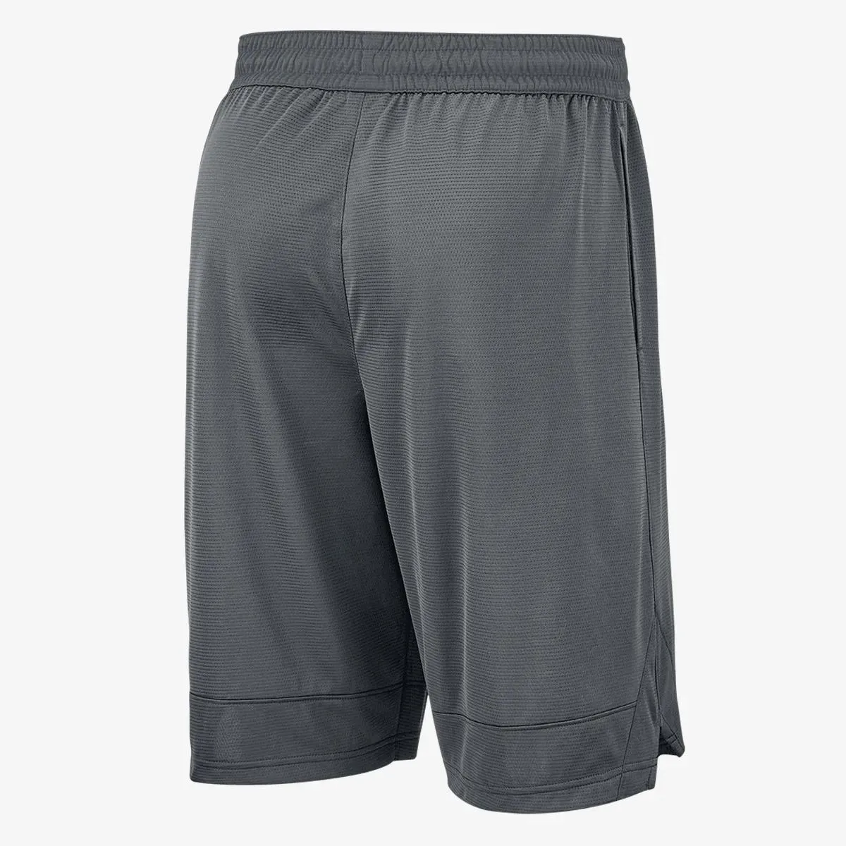 Nike Kratke hlače Dri-FIT Icon 