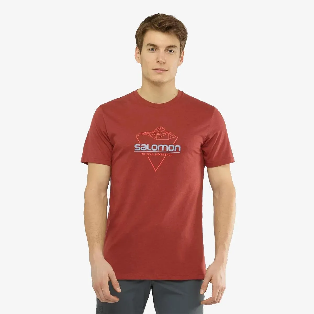 Salomon T-shirt BLEND LOGO TEE M 