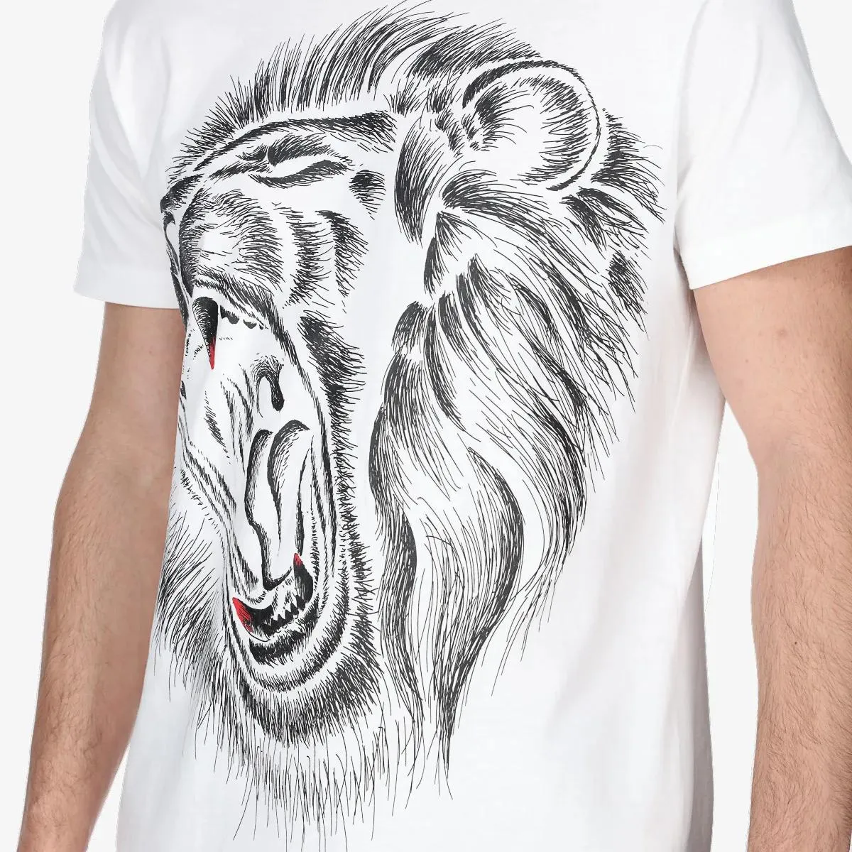 Lonsdale T-shirt LION TEE 