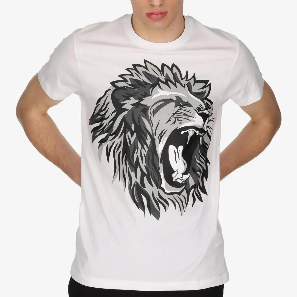 Lonsdale T-shirt LION IV T-Shirt 