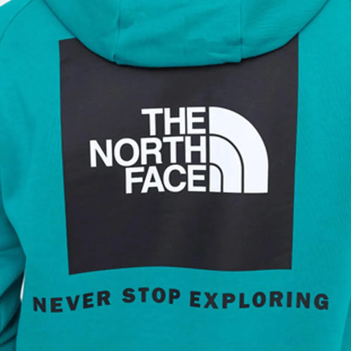 The North Face Majica s kapuljačom M RAGLAN RED BOX HD PORCLNGN/TNFBLK 