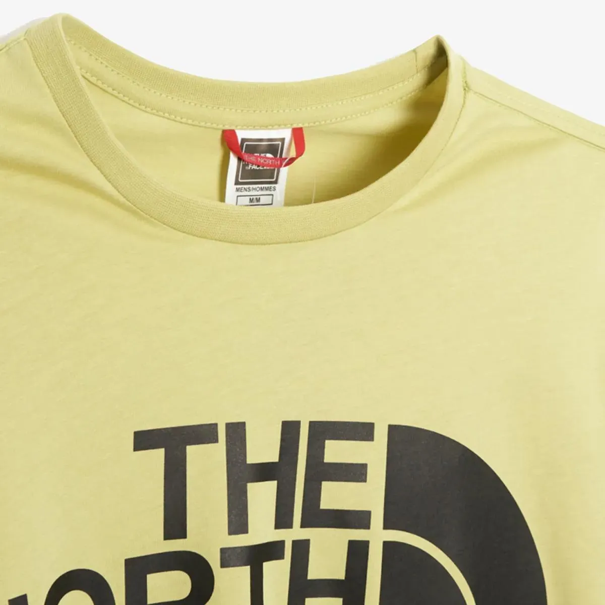The North Face T-shirt M STANDARD SS TEE WEEPING WILLOW 