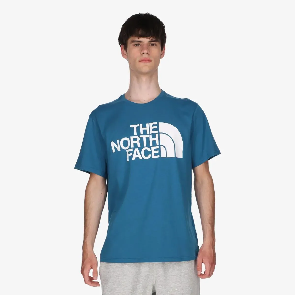 The North Face T-shirt M STANDARD SS TEE BANFF BLUE 