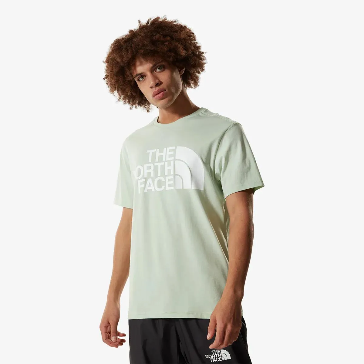 The North Face T-shirt M STANDARD SS TEE 