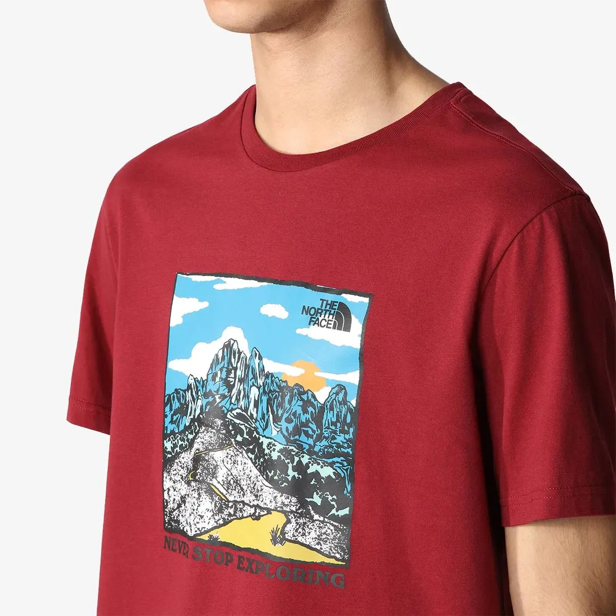 The North Face T-shirt M SEASONAL GRAPHIC TEE CORDOVAN 