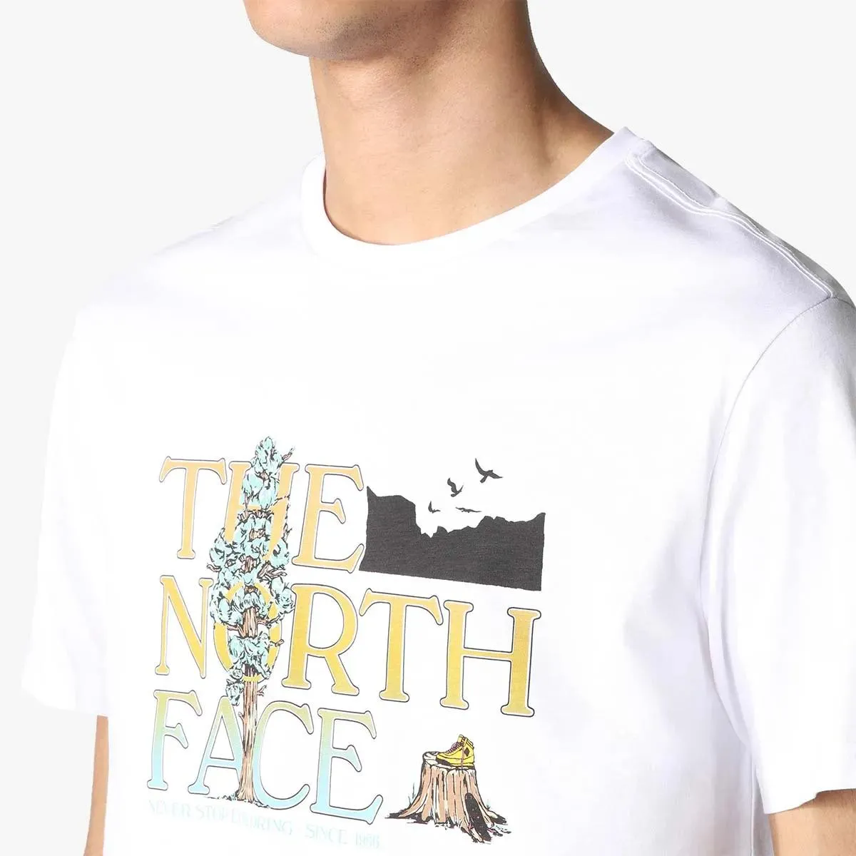 The North Face T-shirt SEASONAL 