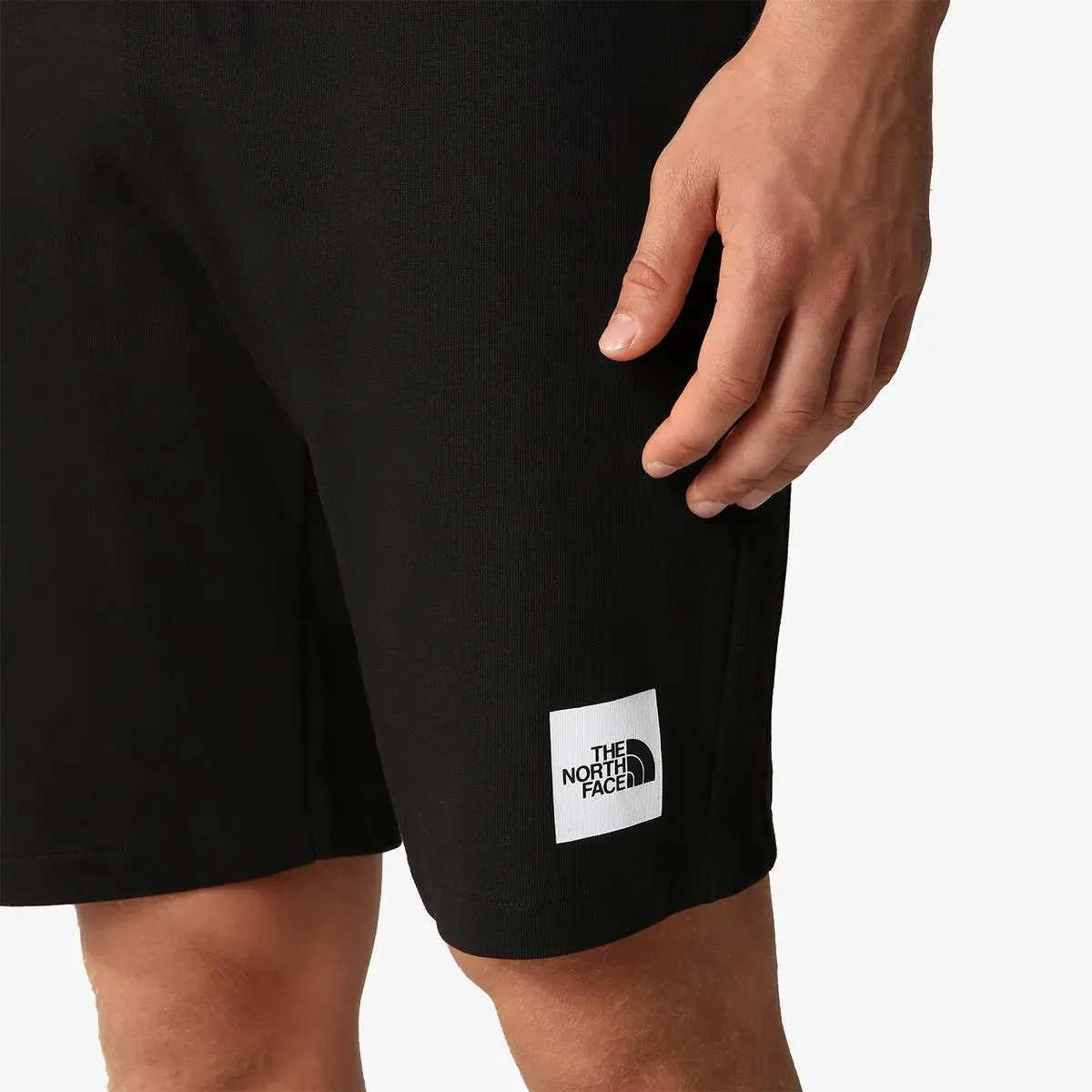 The North Face Kratke hlače Men’s Summer Logo Short 